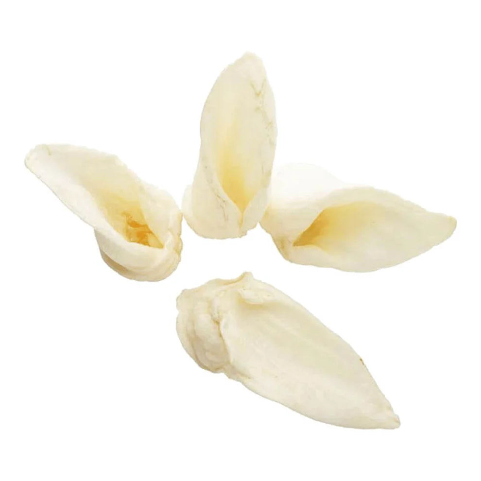 Lamb Ears 50ct