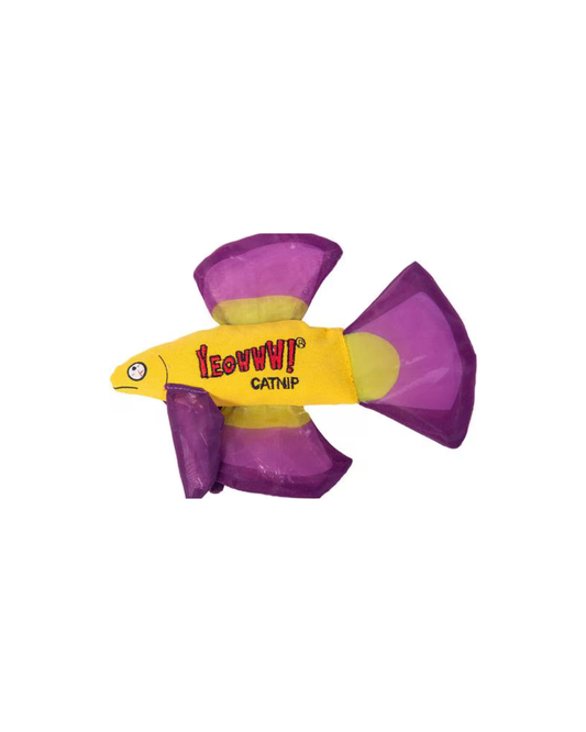 Mo Betta Fish