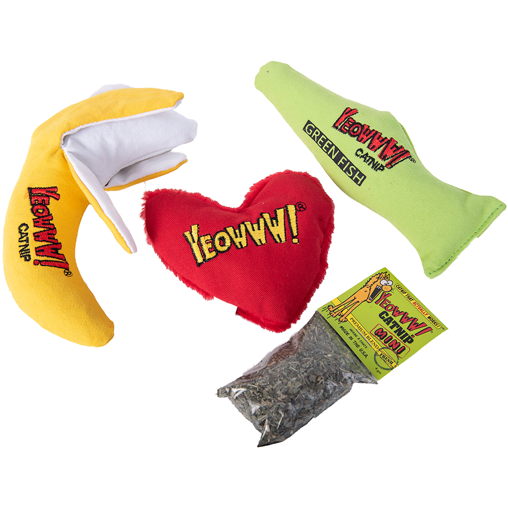 Gift Bundle