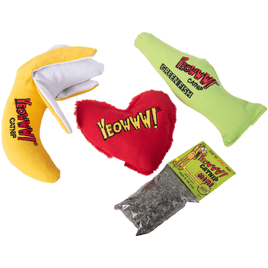 Gift Bundle