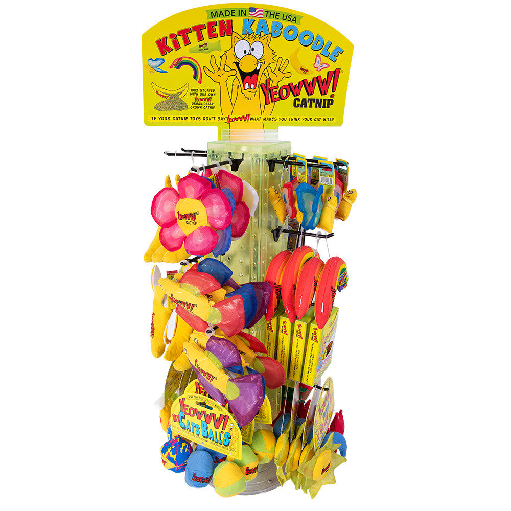 Kitten Kaboodle Display 2024