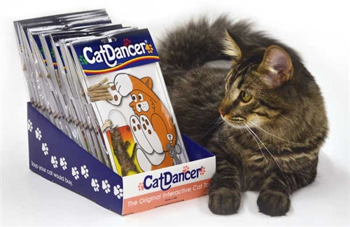 Cat Dancer Display Double Prepack
