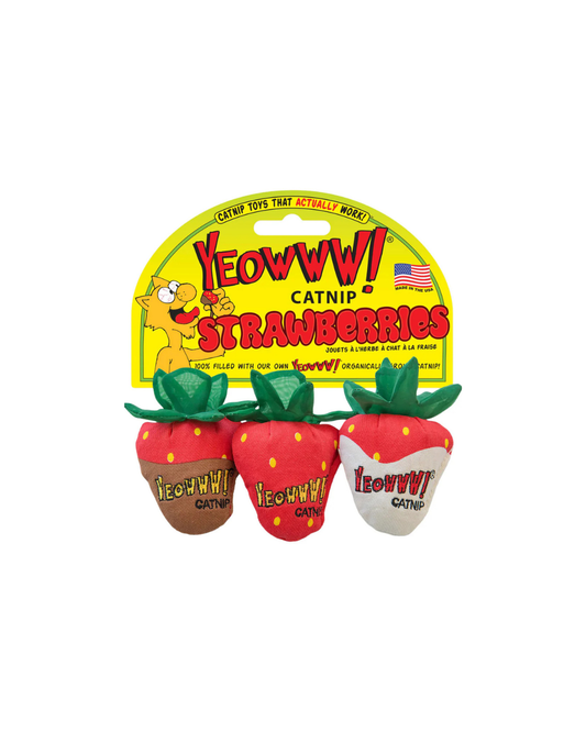 Strawberries - 3 -pack