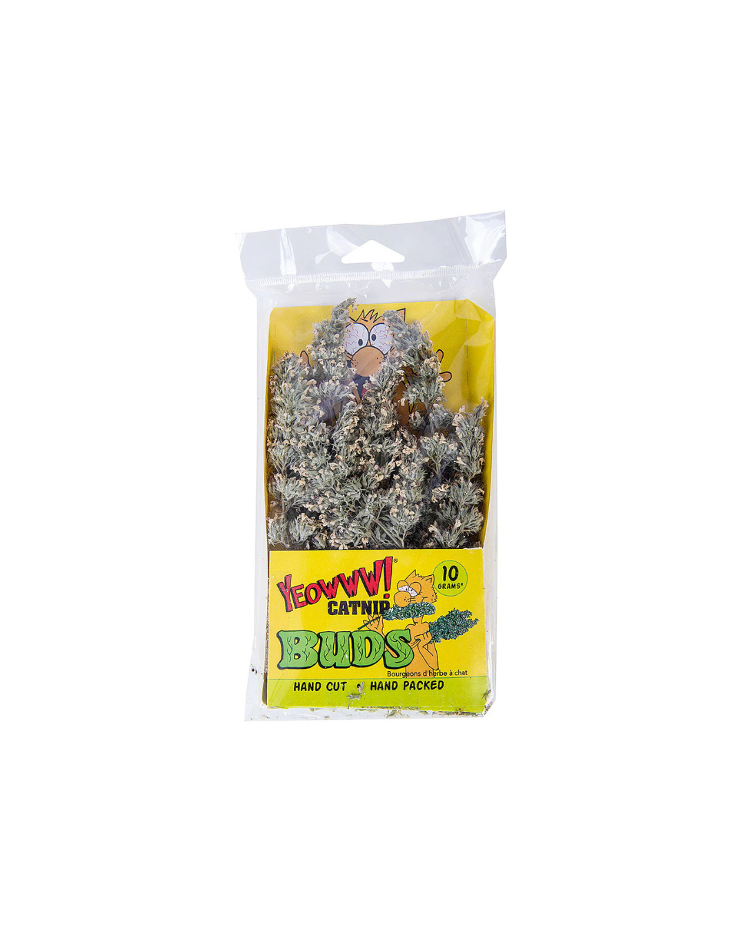 Catnip Buds