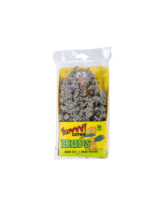 Catnip Buds